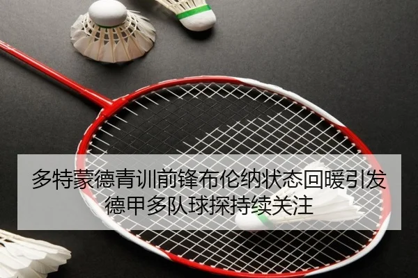 多特蒙德青训前锋布伦纳状态回暖引发德甲多队球探持续关注